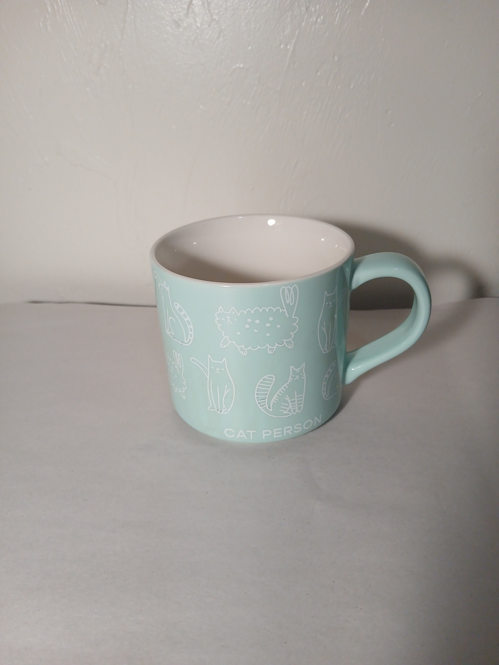 Parker Lane Cat Person Mint Green Stoneware Mug